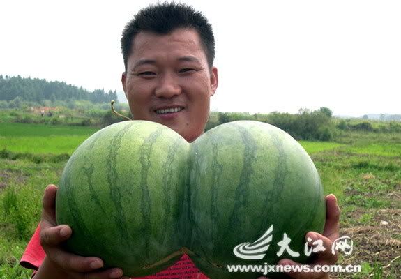 china-conjoined-water-melon.jpg