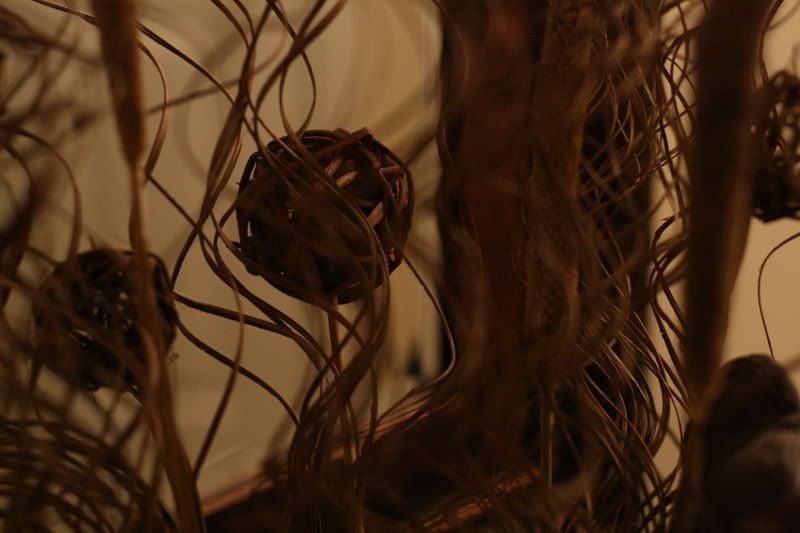 IMAGE: http://i26.photobucket.com/albums/c102/chef21_/IMG_1442.jpg