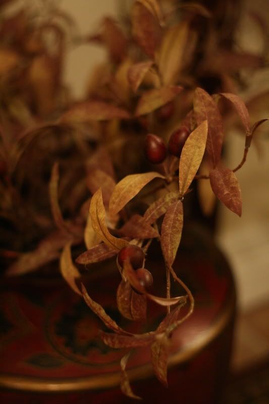 IMAGE: http://i26.photobucket.com/albums/c102/chef21_/IMG_1455.jpg