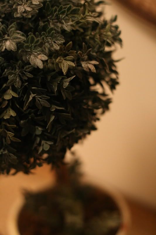 IMAGE: http://i26.photobucket.com/albums/c102/chef21_/IMG_1467.jpg