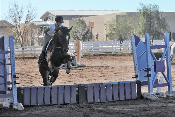horse jumping high over a little fence