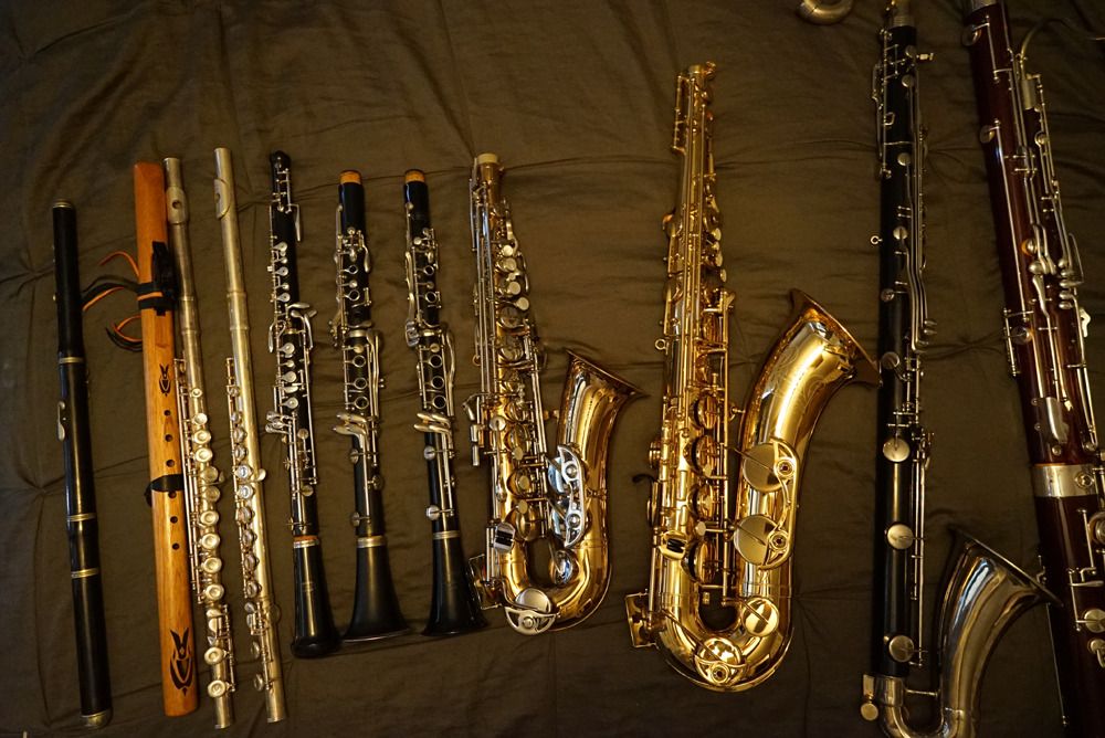 mywoodwinds516.jpg