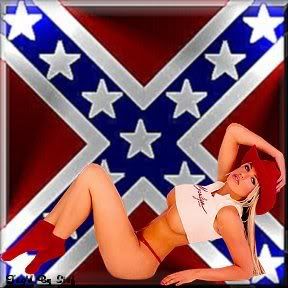 rebel flag Pictures, Images and Photos