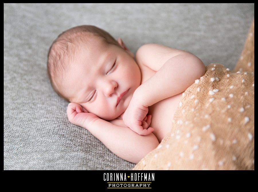 corinna hoffman photography - jacksonville florida newborn photographer photo Newborn_Photographer_Jacksonville_Florida_003_zpsu7qtzf0f.jpg
