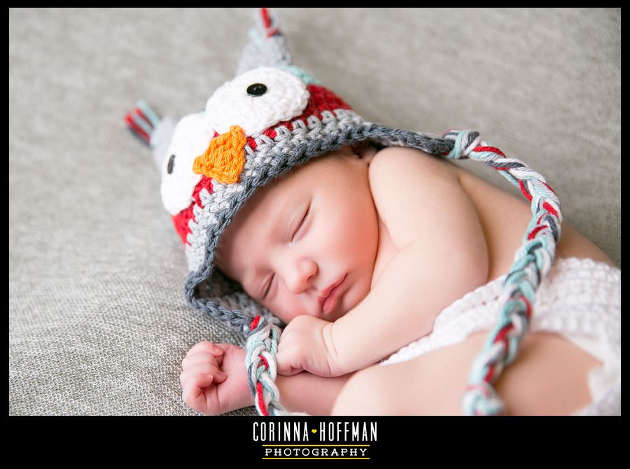 corinna hoffman photography - jacksonville florida newborn photographer photo Newborn_Photographer_Jacksonville_Florida_006_zpsvxhd8ldi.jpg