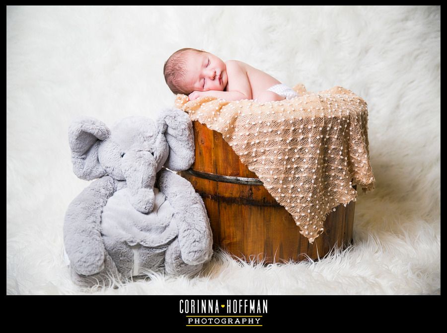 corinna hoffman photography - jacksonville florida newborn photographer photo Newborn_Photographer_Jacksonville_Florida_030_zpswsy7jker.jpg