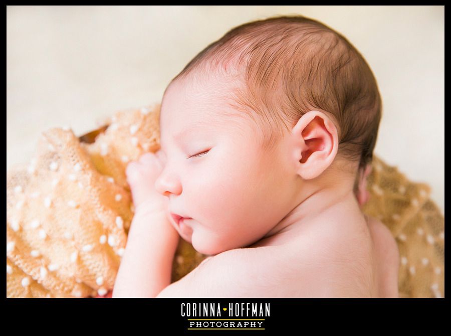 corinna hoffman photography - jacksonville florida newborn photographer photo Newborn_Photographer_Jacksonville_Florida_032_zpsejmeanhn.jpg
