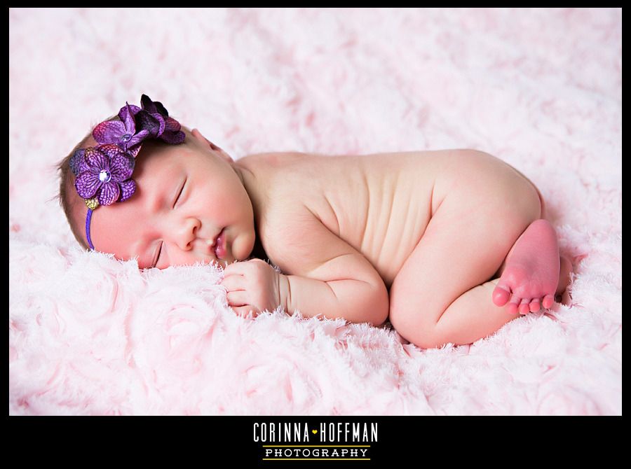 corinna hoffman photography - jacksonville florida newborn photographer photo Jacksonville_Florida_Newborn_Photographer_001_zpsrbhwgpmc.jpg