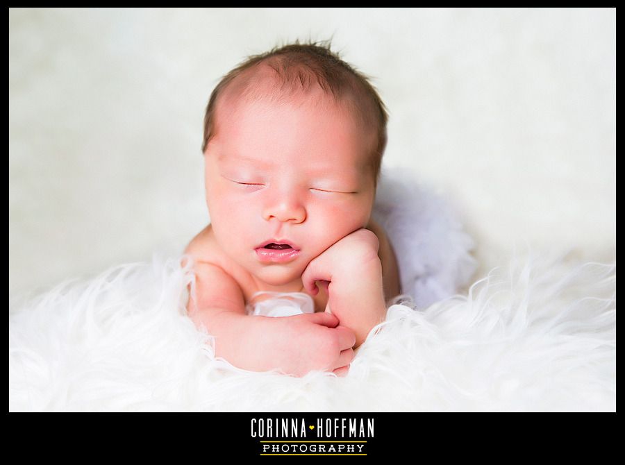 corinna hoffman photography - jacksonville florida newborn photographer photo Jacksonville_Florida_Newborn_Photographer_013_zpsyszqjyan.jpg