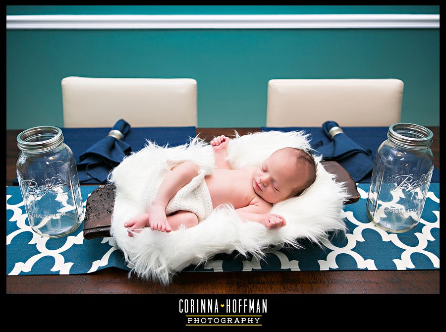 corinna hoffman photography - jacksonville florida newborn photographer photo Corinna_Hoffman_Photography_Jacksonville_Newborn_Photographer_020_zps836eb62f.jpg