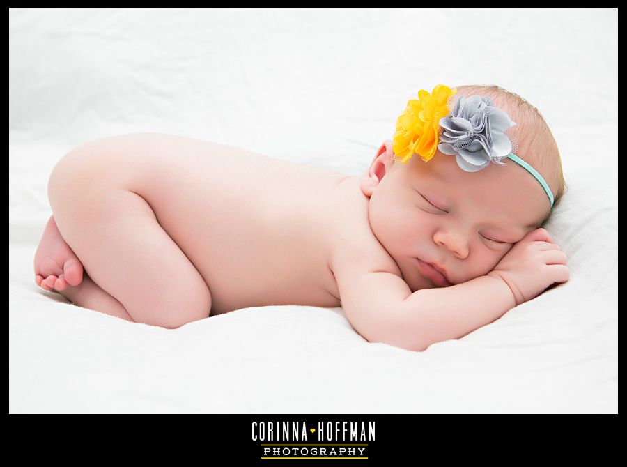 corinna hoffman photography - jacksonville florida newborn photographer photo Jacksonville_Florida_Newborn_Photographer_11_zps5a3f2ace.jpg