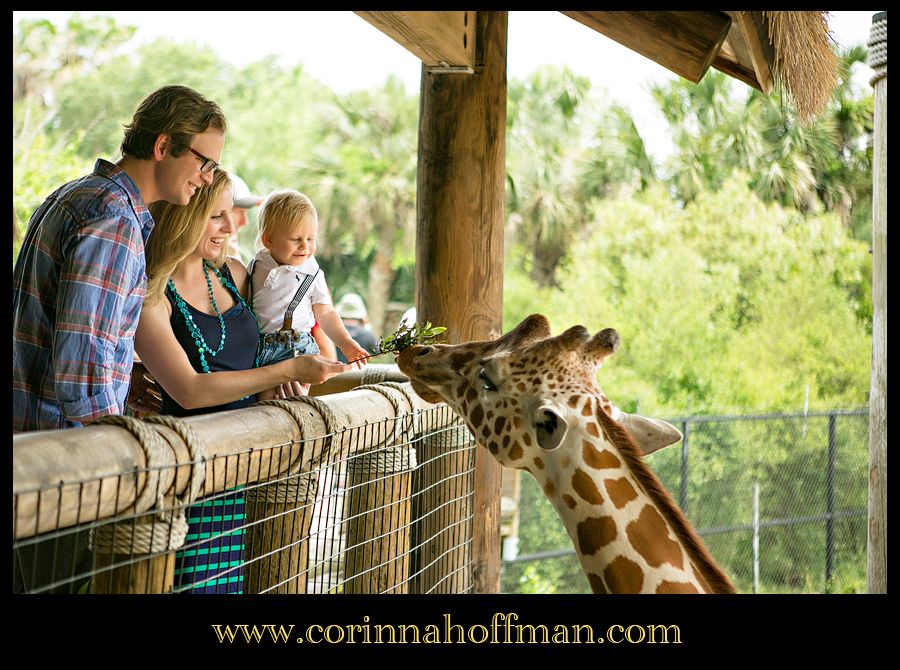 Corinna Hoffman Photography - Jacksonville Zoo Family Photographer photo Jacksonville_Zoo_Family_Photographer_006_zps78a9a1d6.jpg