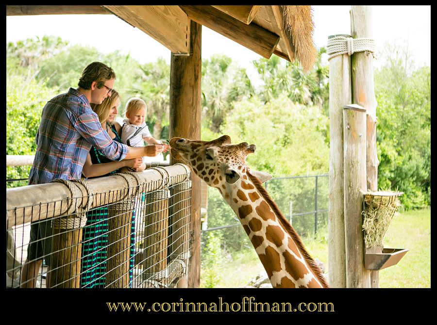 Corinna Hoffman Photography - Jacksonville Zoo Family Photographer photo Jacksonville_Zoo_Family_Photographer_007_zpse4948ef8.jpg