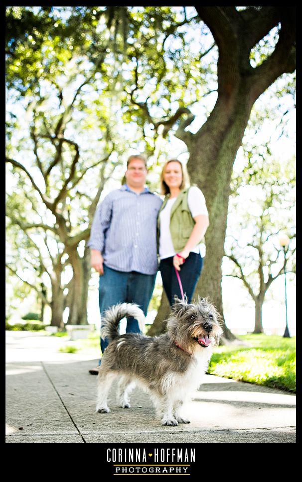 corinna hoffman photography - john gorrie dog park jacksonville pet photographer photo corinnahoffmanphotography-johngorriedogpark_030_zps97d687ff.jpg