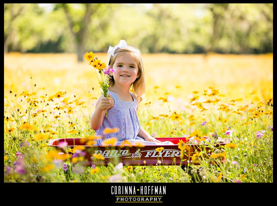 Corinna Hoffman Photography - Jacksonville FL Family Photographer photo flower_field_jacksonville_photographer_002_zps09422f3a.jpg