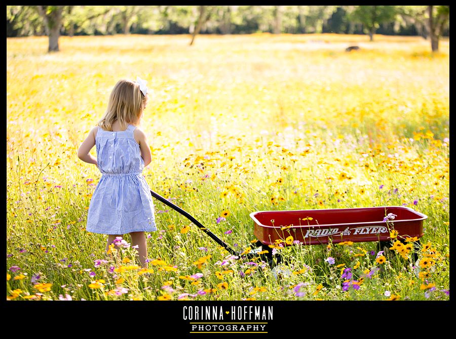 Corinna Hoffman Photography - Jacksonville FL Family Photographer photo flower_field_jacksonville_photographer_006_zps3cba0619.jpg