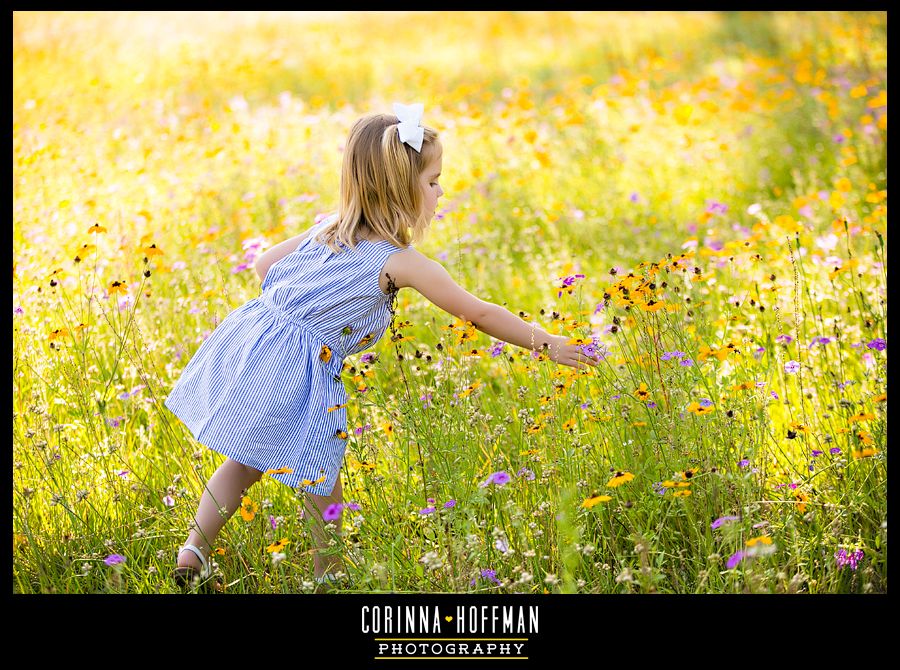 Corinna Hoffman Photography - Jacksonville FL Family Photographer photo flower_field_jacksonville_photographer_010_zpse16caff4.jpg