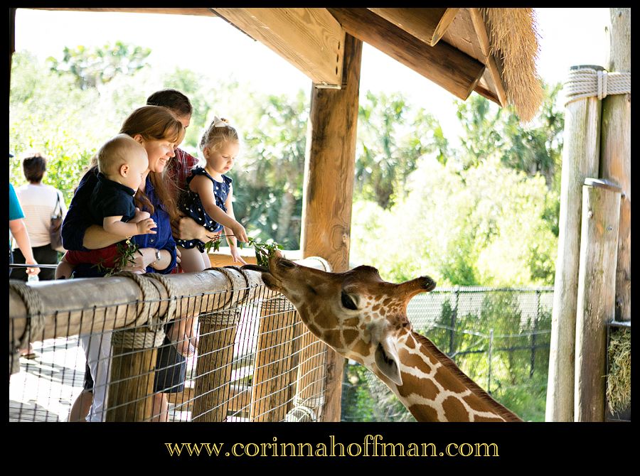 Jacksonville Zoo Photographer - Corinna Hoffman Photography Copyright photo corinna_hoffman_photography_jacksonville_zoo_124_zpsbde82234.jpg