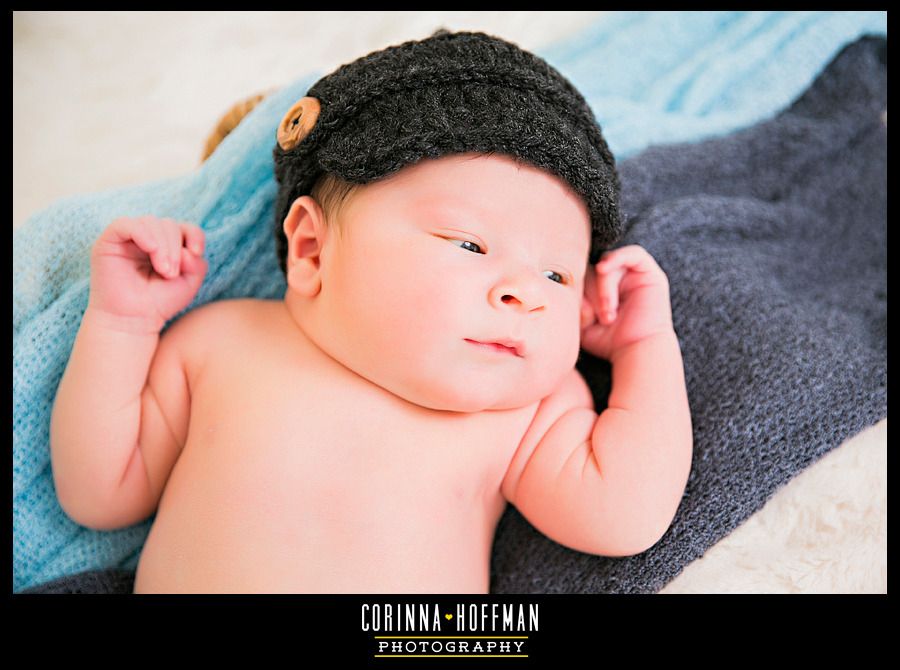corinna hoffman photography - jacksonville florida newborn photographer photo jacksonville_baby_studio_photographer_corinna_hoffman_11_zpsdrmyvta4.jpg