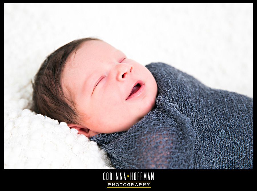 corinna hoffman photography - jacksonville florida newborn photographer photo jacksonville_baby_studio_photographer_corinna_hoffman_16_zpsnii7iujw.jpg