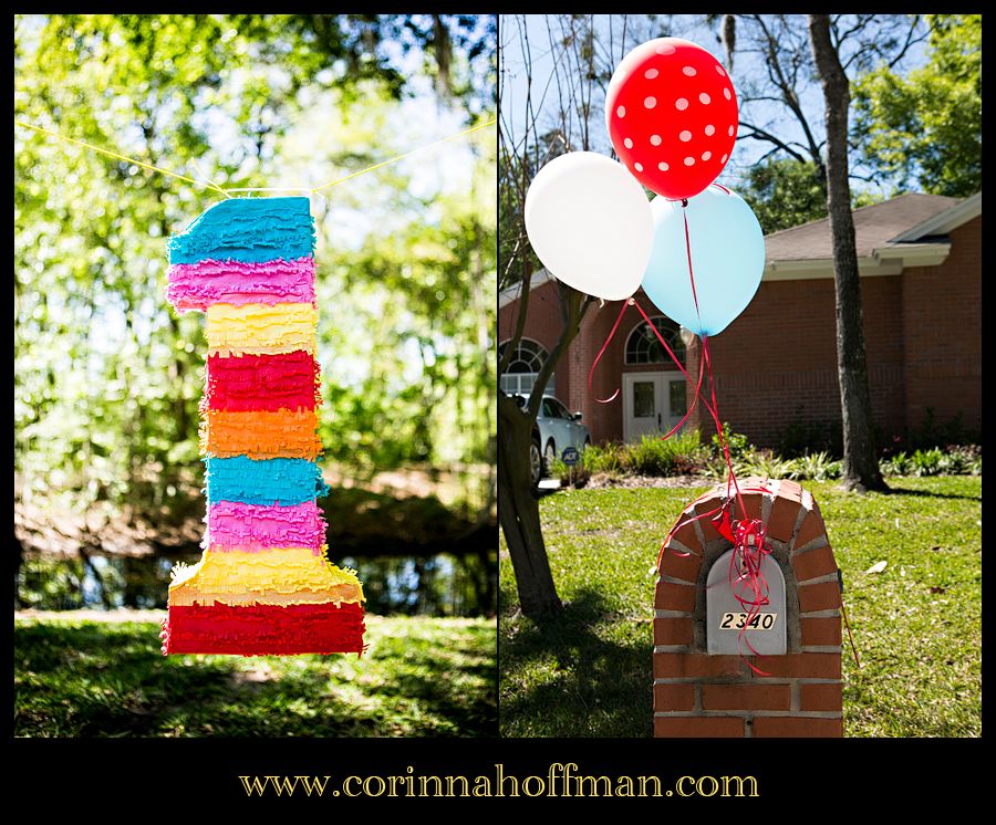 Corinna Hoffman Photography photo Jacksonville_FL_Birthday_Kids_Photographer_005_zpsa0c2f2e1.jpg