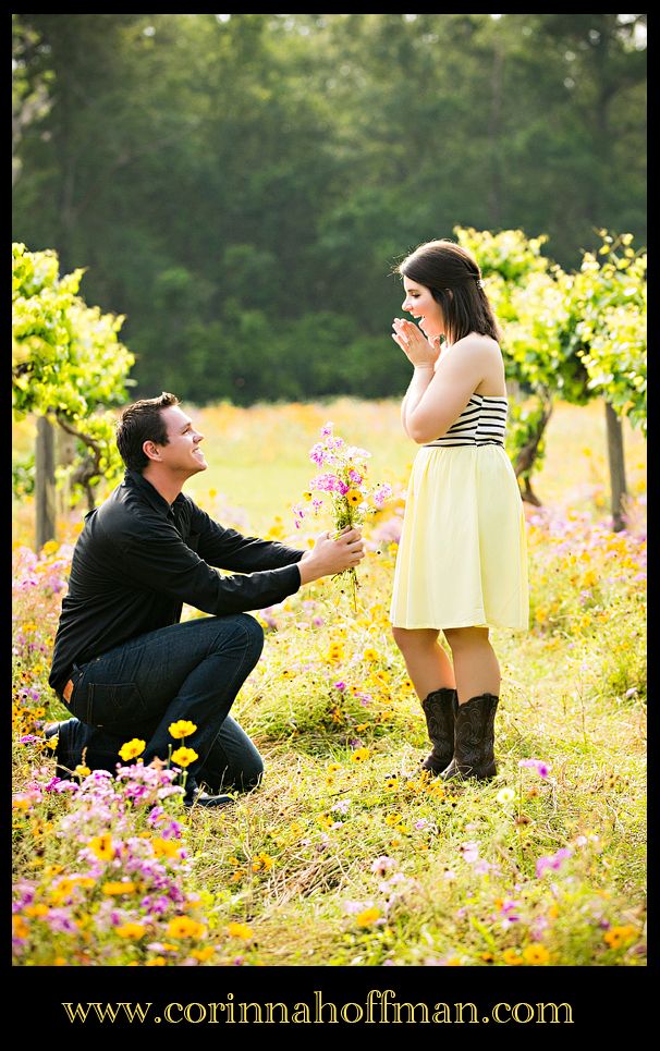 Jacksonville FL Flower Field Photographer photo Jacksonville_FL_Flower_Field_Photographer_007_zpsb883b609.jpg