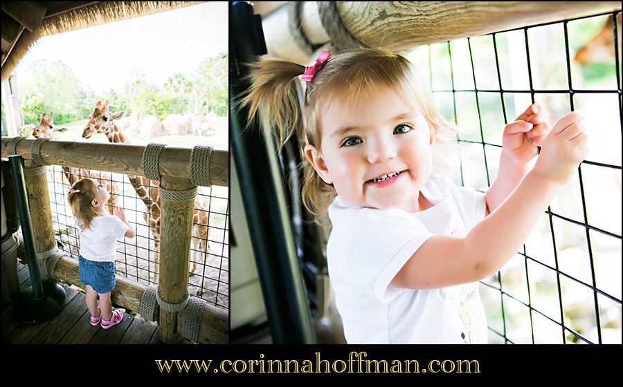 Jacksonville Zoo FL Family Photographer - Corinna Hoffman Photography photo jacksonville_zoo_florida_family_photographer_21_zps8281c9e0.jpg