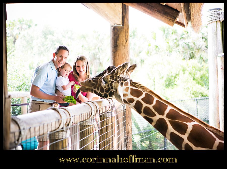 Jacksonville Zoo FL Family Photographer - Corinna Hoffman Photography photo jacksonville_zoo_florida_family_photographer_23_zps38518f08.jpg