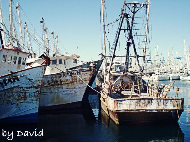 Puerto Penasco,Shrimp Boat,Phoenix,David
