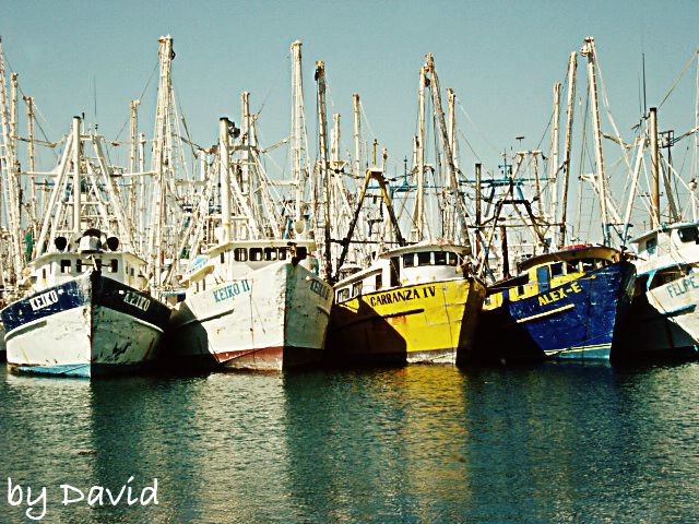 Puerto Penasco,Shrimp Boat,David,Pheonix