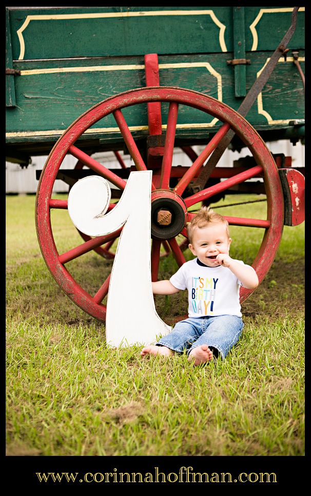 Corinna Hoffman Photography - Baby Birthday Family Jacksonville FL Photographer photo Jacksonville_FL_Family_Photographer_016_zpsf834bd28.jpg