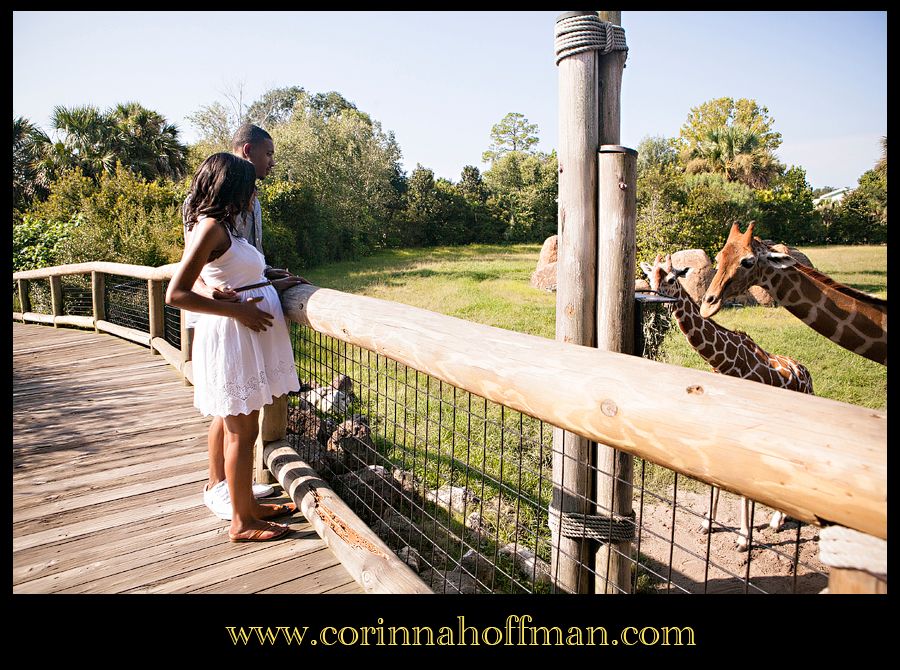 Jacksonville Florida Maternity Photographer - Corinna Hoffman Photography photo maternity_photographer_jacksonville_zoo_florida_008_zps6c5157a0.jpg