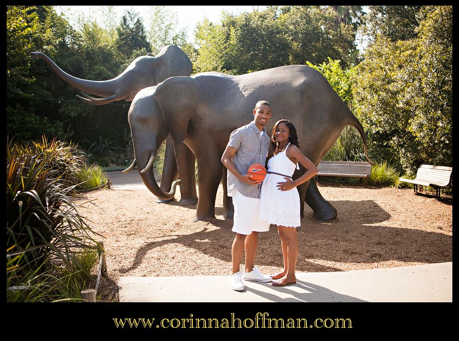 Jacksonville Florida Maternity Photographer - Corinna Hoffman Photography photo maternity_photographer_jacksonville_zoo_florida_009_zps7c2ecc55.jpg