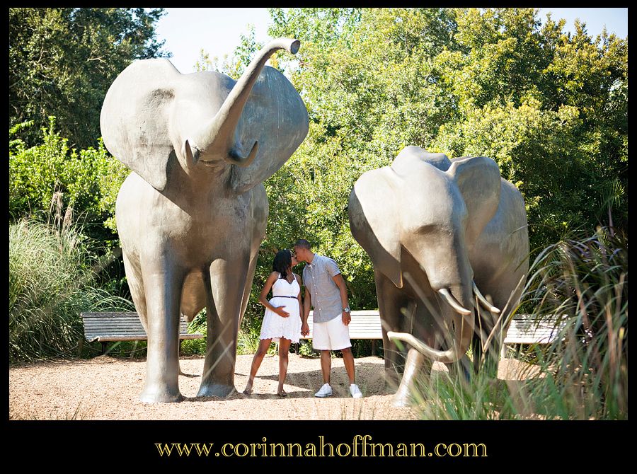 Jacksonville Florida Maternity Photographer - Corinna Hoffman Photography photo maternity_photographer_jacksonville_zoo_florida_010_zps2c159de1.jpg