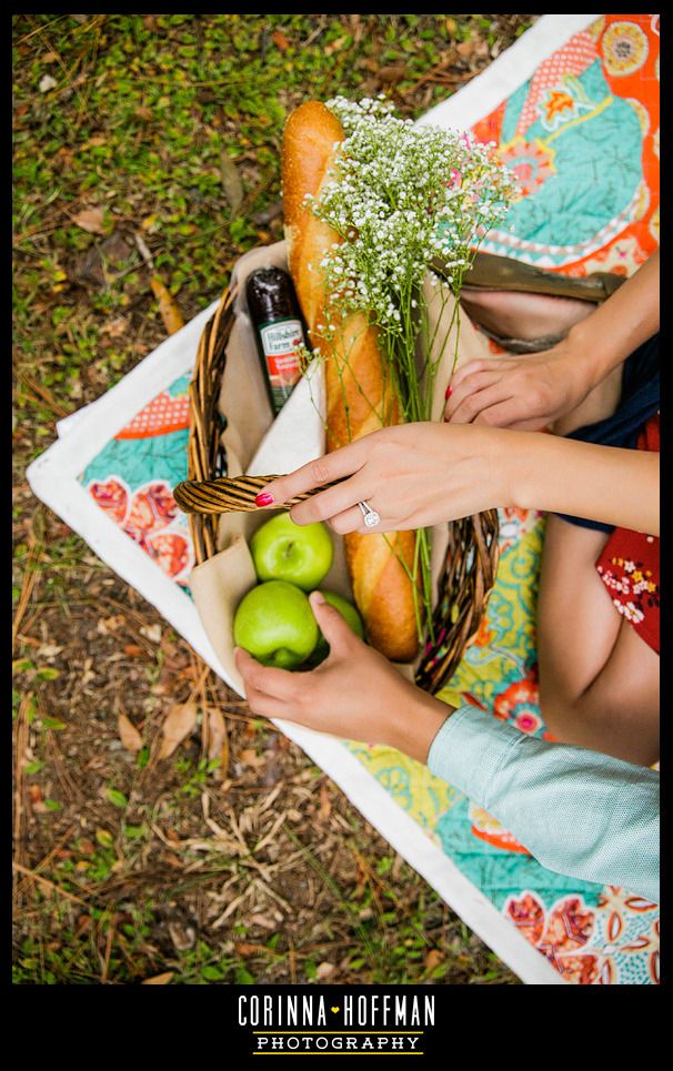 picnic themed engagement session - jacksonville florida wedding photographer - corinna hoffman photography copyright photo Jacksonville-Florida-Engagement-Picnic-Corinna-Hoffman-Photography_010_zpsfvipwpcq.jpg