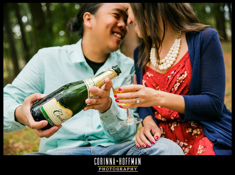 picnic themed engagement session - jacksonville florida wedding photographer - corinna hoffman photography copyright photo Jacksonville-Florida-Engagement-Picnic-Corinna-Hoffman-Photography_011_zpsoixuhnmn.jpg