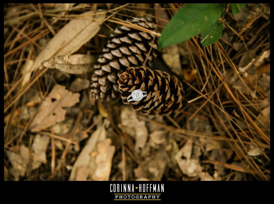 picnic themed engagement session - jacksonville florida wedding photographer - corinna hoffman photography copyright photo Jacksonville-Florida-Engagement-Picnic-Corinna-Hoffman-Photography_020_zpssjxvkgwt.jpg