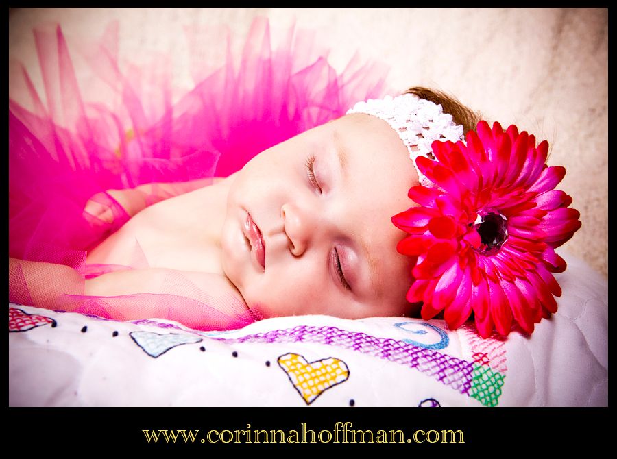 Baby,Family,Jacksonville FL Baby and Family Photographer,Corinna Hoffman Photography,Boston Terriers,Pink Tutu