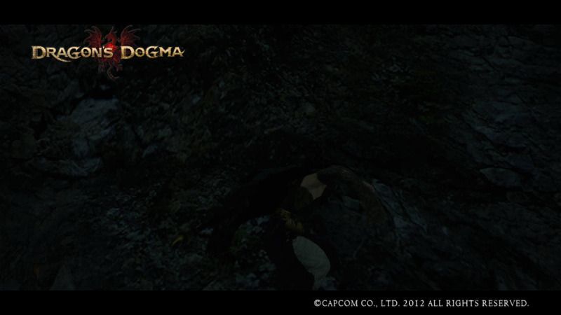 Dragons-Dogma-Screenshot_2.jpg