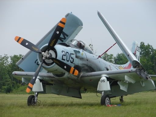 http://i26.photobucket.com/albums/c105/wingswheeler/DSC00472.jpg