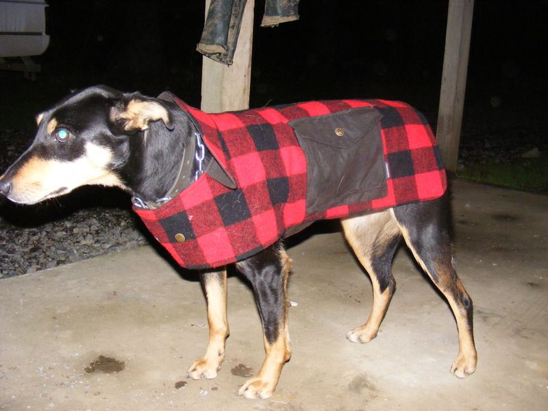 stoney creek dog coat