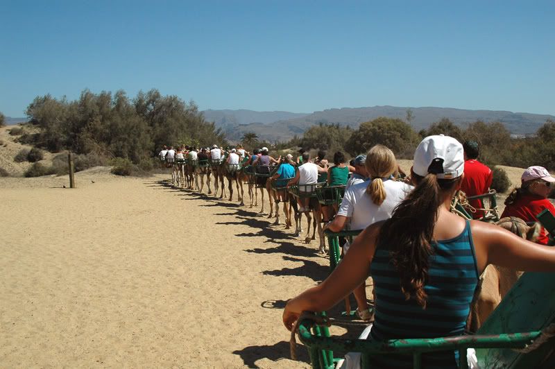 GranCanaria051.jpg