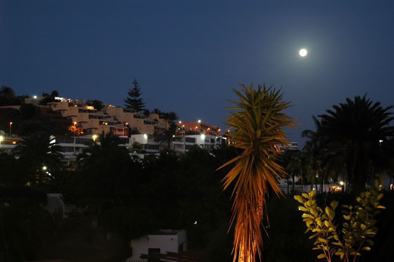 GranCanaria069.jpg
