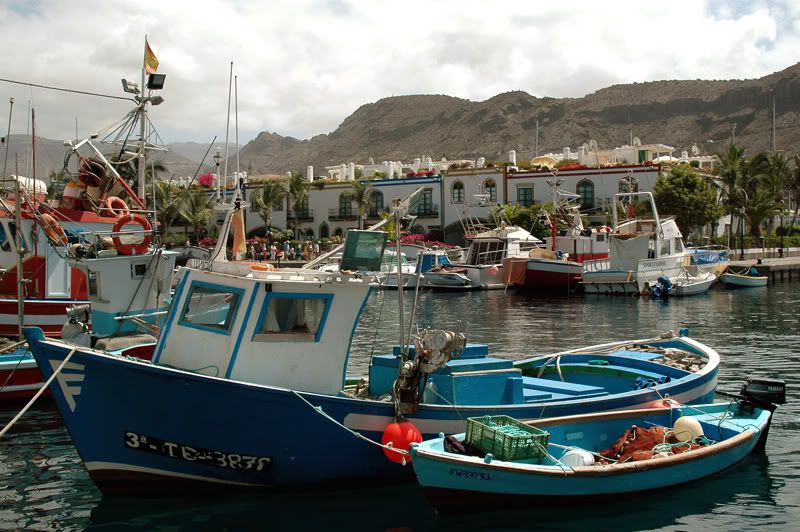 GranCanaria146.jpg