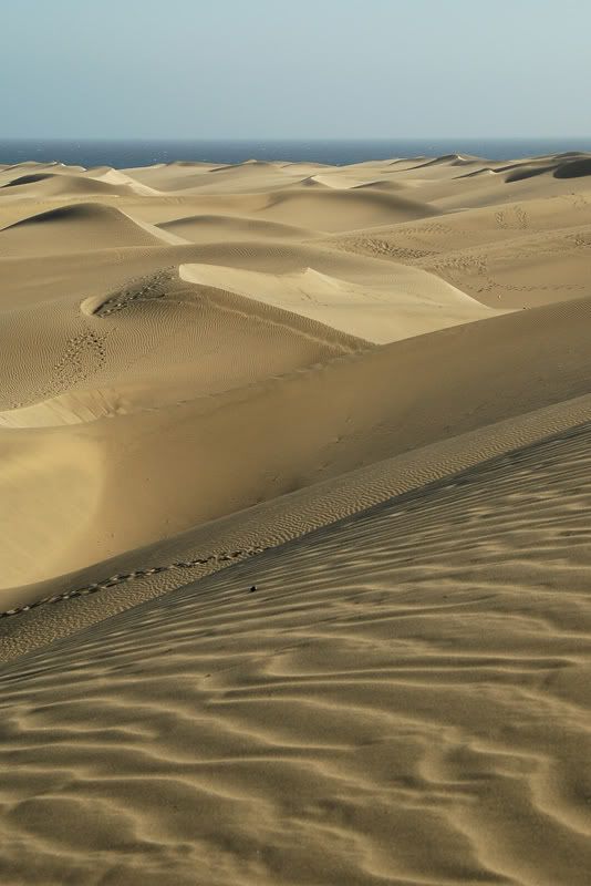 GranCanaria208.jpg