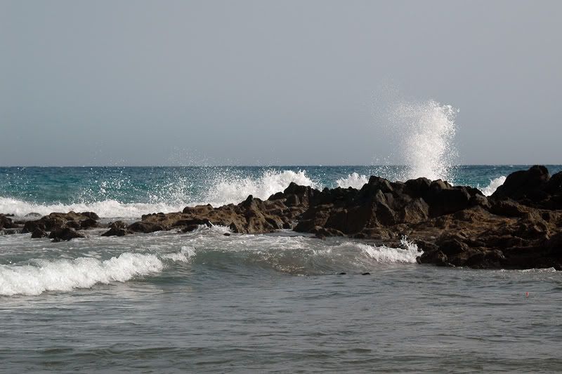 GranCanaria294.jpg