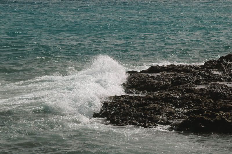 GranCanaria296.jpg