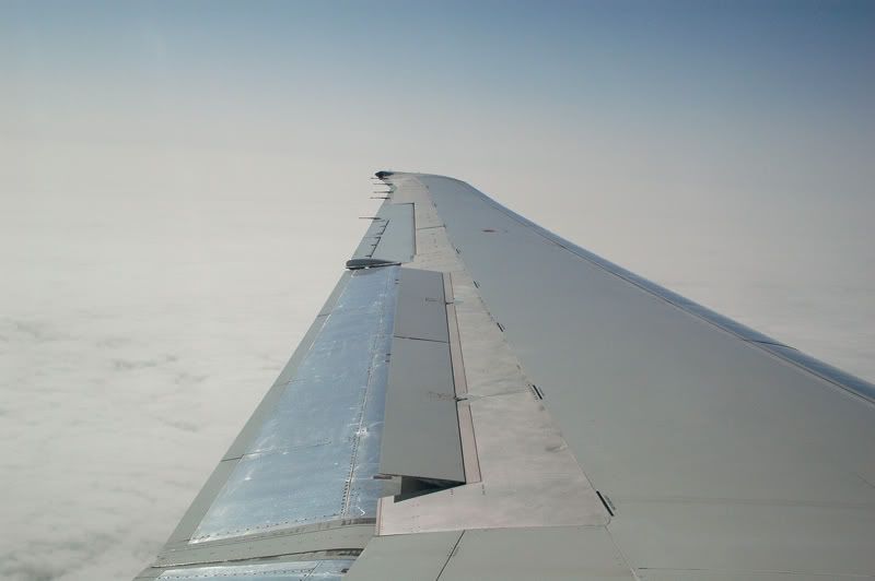 gc9.jpg