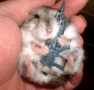 mouse-with-gun.jpg~original