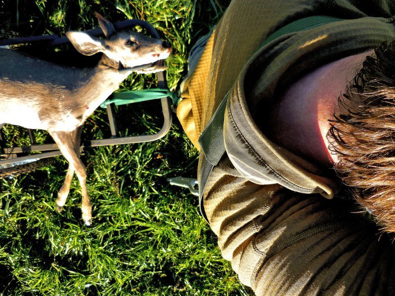 .260%20Remington%20Doe%2012-18-15%2012_zpsjpj2mdas.jpg